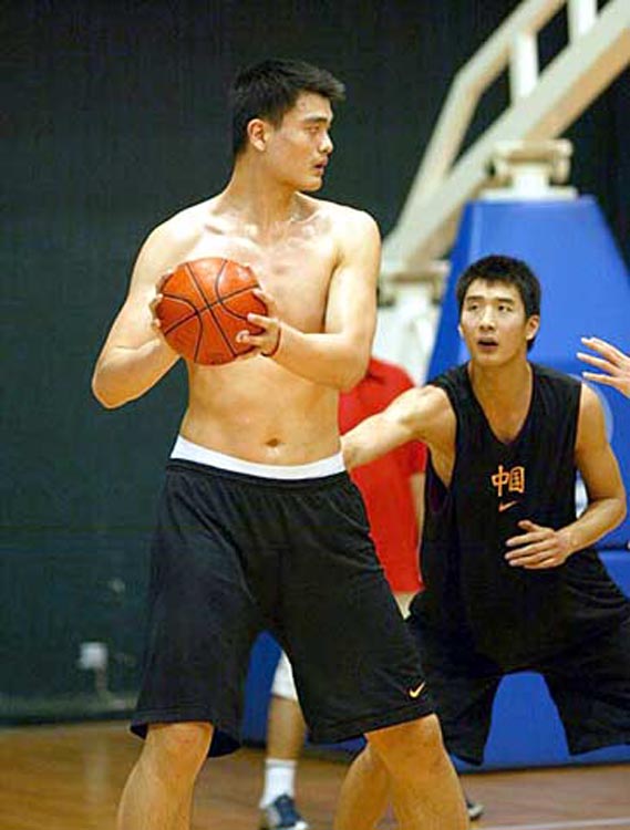的佼佼者