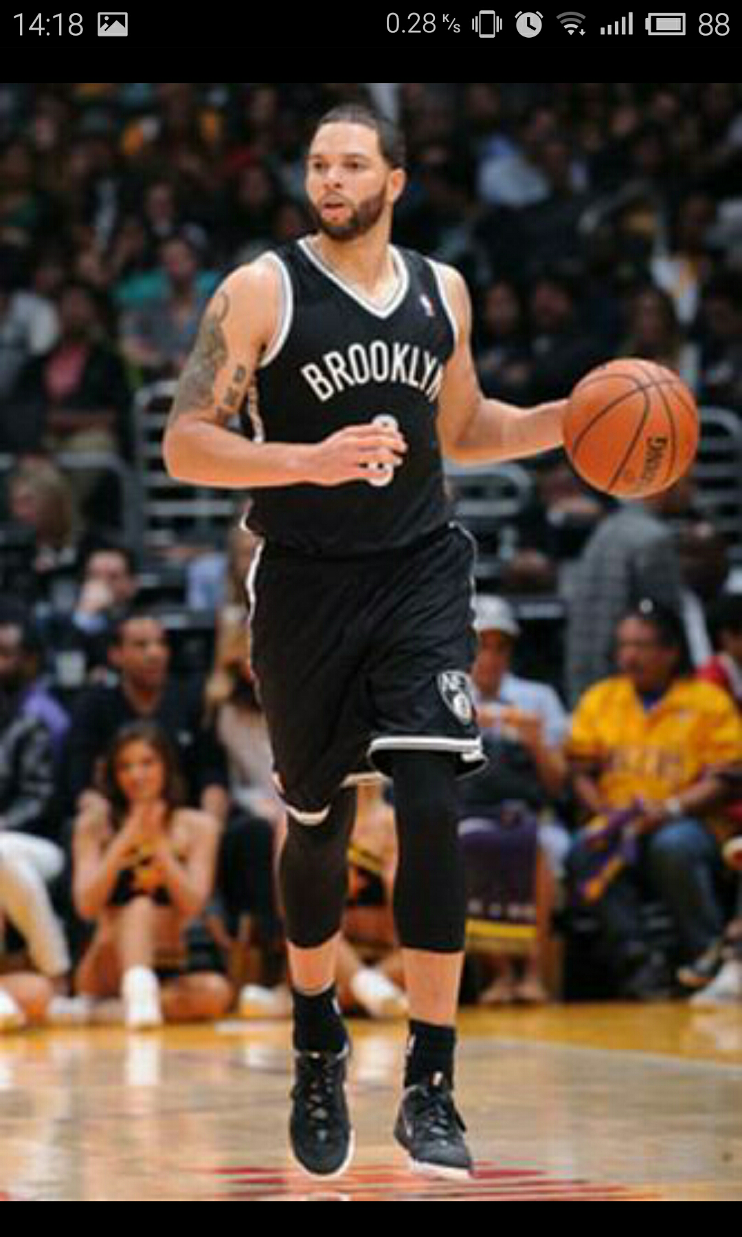 特展示了非 特展示了非